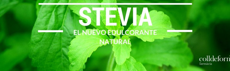 Stevia. El nuevo edulcorante natural.